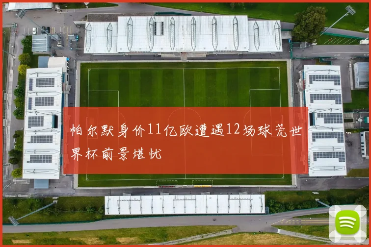 帕尔默身价11亿欧遭遇12场球荒世界杯前景堪忧