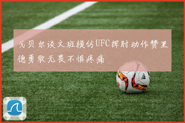 戈贝尔谈文班模仿UFC挥肘动作赞里德勇敢无畏不惧疼痛